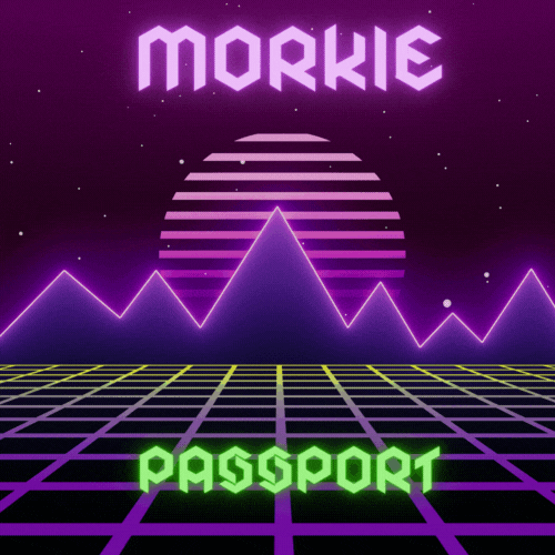 passport morkie